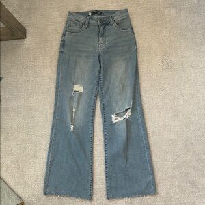 Stylish Blue Distressed Women Jeans